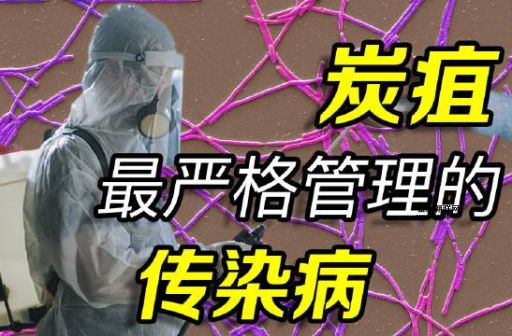 碳疽怎么念(  炭疽对人有威胁吗)