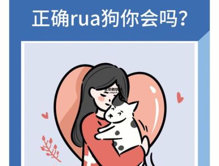 rua是什么意思( 是rua还是rua)