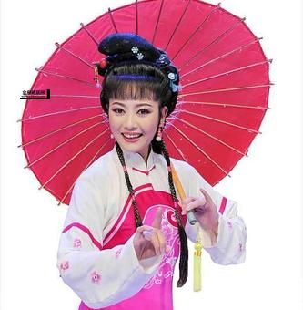 韩再芬简介(韩再芬的黄梅戏之路有多精彩)