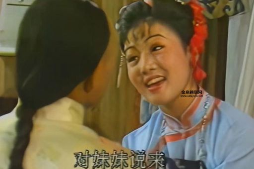 黄梅戏《小辞店》好看吗？