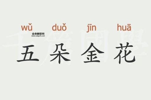 五朵金花(  它传达了哪些情感)