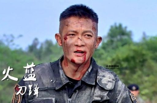 火蓝刀锋沈歌(蒋小鱼为何宁愿救她十次)