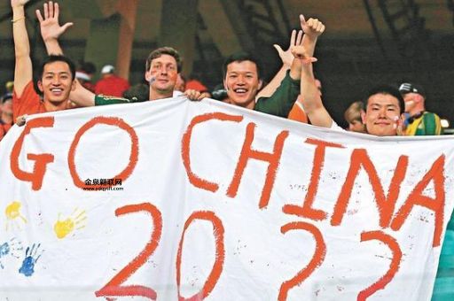 中国进过世界杯吗(为什么现在一直进不去)