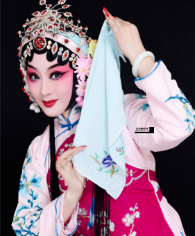 河南地方戏曲( 有哪些经典角色)