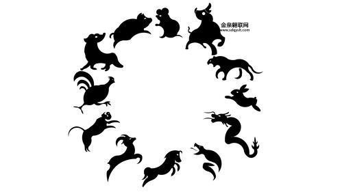 奔跑起来快如飞准确生肖(飞奔起来谁第一)
