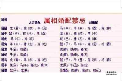 豪门酒肉打一生肖(哪位生肖最爱享用)