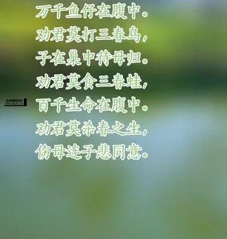 慈悲为怀打一生肖(谁最懂得怜悯他人)