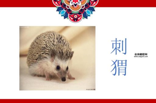 野性难驯打一动物谜底(你能猜出来吗)