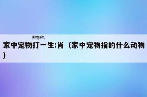 家中庞物指什么生肖(是什么宠物决定的)