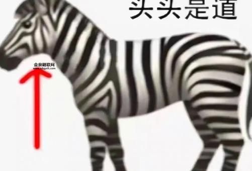 头头是道指一准确动物生肖( 答案出乎意料)