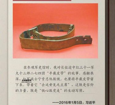 寸草春晖指什么生肖(  它身上有什么感人的故事)