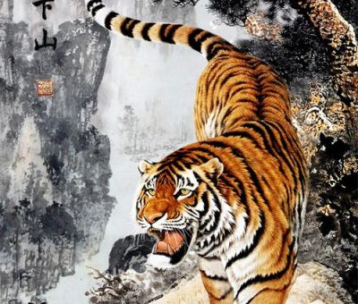 猛虎下山指什么生肖(  到底是谁下山了)