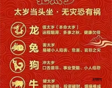 属牛的人今日运势(会遇到什么挑战)