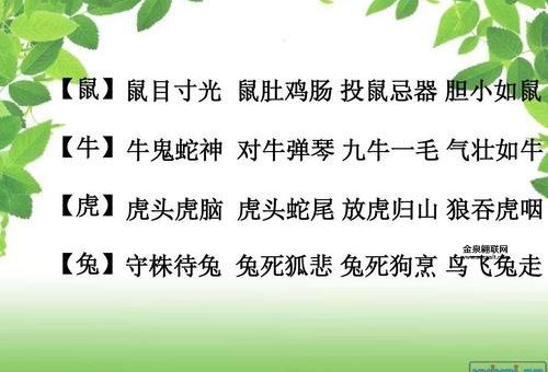 行动如飞指什么生肖( 行动如飞指的会是谁呢)