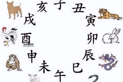老老实实打一正确生肖( 老老实实到底是指哪些生肖)