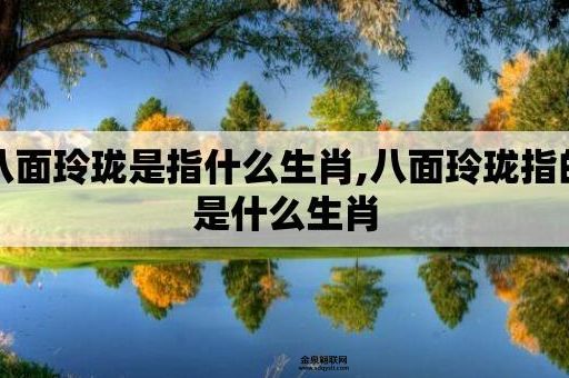 八面玲珑是什么生肖？(  聪明伶俐的生肖鼠)