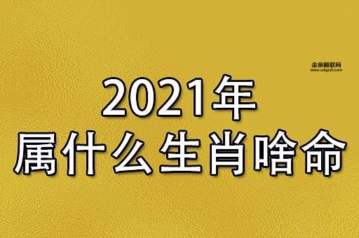 光说不练是什么生肖(  哪个生肖行动力强)