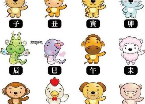 光说不练是什么生肖(  哪个生肖行动力强)