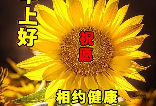 旭日东升有喜气，哪个生肖代表着黎明曙光？是鸡还是蛇？