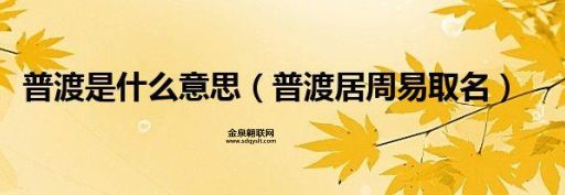 普渡居周易起名(普渡居周易起名能做到吗)
