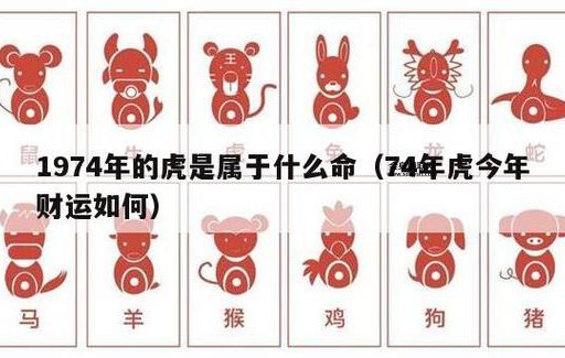 卓识远见是哪种生肖的特征？是鼠还是虎？