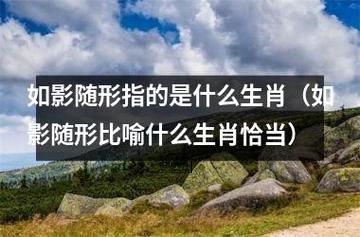 如影随形是什么生肖(它为什么这么忠诚)