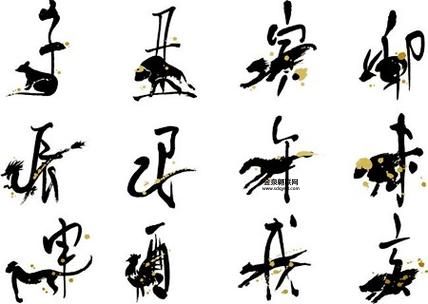 超群出众指什么生肖(它们有何优胜之处)