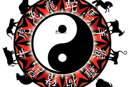 佛法无边是什么生肖(哪个动物最符合佛法精神)