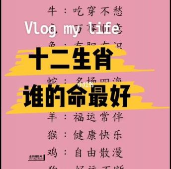 狭路相逢是什么生肖(谁才是最勤劳的生肖)