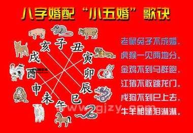 罪魁祸首打一生肖(打个生肖你猜到了吗)