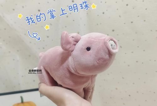 掌上明珠打一生肖(答案呼之欲出)