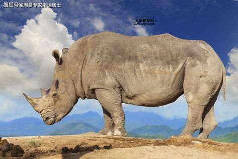 临危不惧是什么生肖物(哪种动物最勇敢)