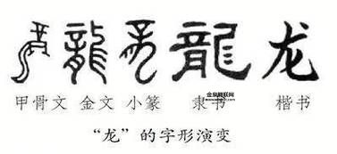 3个龙念什么龘( 龘字代表什么)