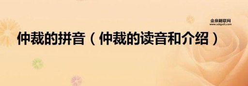 仲裁的拼音(到底怎么读才标准)