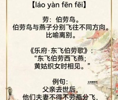 劳燕分飞中的劳是什么意思( 这种鸟还会吃燕子)