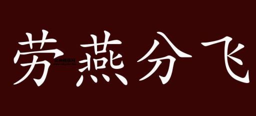 劳燕分飞中的劳是什么意思( 这种鸟还会吃燕子)