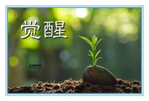 雍齿简介(他的人生轨迹如何)