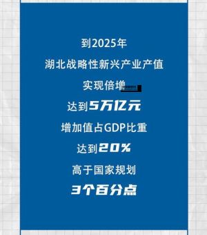 2025是什么年( 我们应该怎么做)