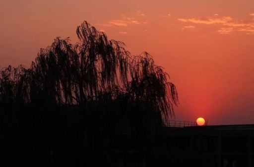 屋角斜阳是什么意思(夕阳西下是不是很美)