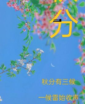 秋分意味着什么意思(秋天也正好过半)