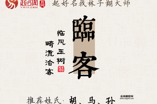 临客是什么意思(你会选择坐临客吗)