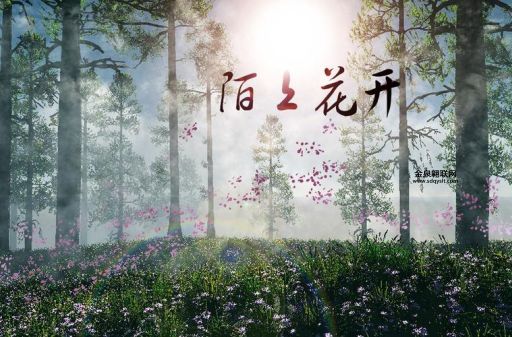 陌上花开是什么意思(  跟田间小路的花有啥关系)