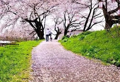 陌上花开是什么意思(  跟田间小路的花有啥关系)