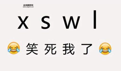xswl什么意思(  你out了)