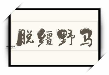 脱缰野马是什么意思(怎么才能收回来)