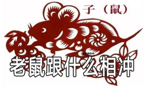 尾巴难藏是什么生肖(猜猜看是哪个生肖)
