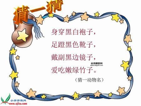目光如豆打一正确生肖(猜猜是哪种动物)