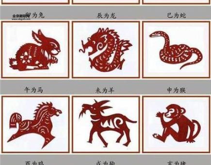 鼠肚鸡肠打一正确生肖(鼠肚鸡肠打一生肖猜猜看)
