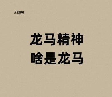 龙马精神寓意和象征(  跟龙和马有什么关系)