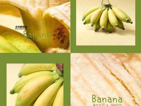 哪种水果更容易招蚊子(是香蕉还是草莓)